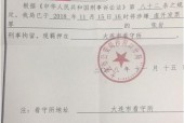 浮力影院国产限制,探索限制与创新的边界