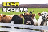 国产牛牛视频,探寻中国本土牛牛文化的魅力与传承